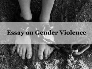 Essay on Gender Violence