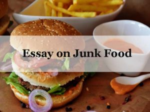 healthy food and junk food essay