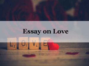 Argumentative Essay on Love | Guide to Writing