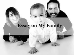 family essay writing