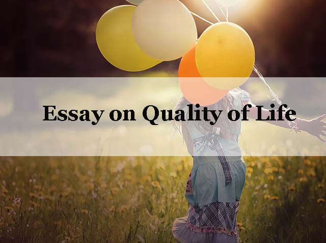 quality of life essay examples