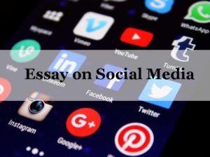 Essay on Social Media