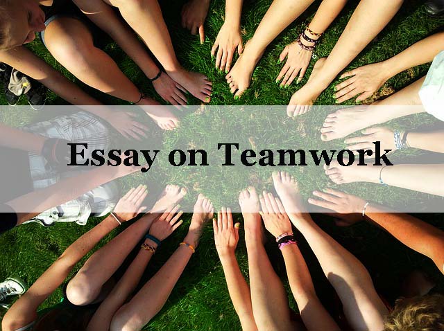 Essay on team work