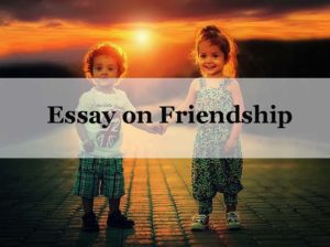 Essay on Friendship