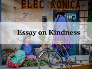 Essay on Kindness