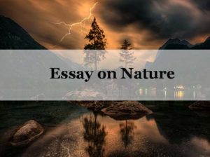 narrative essay on nature