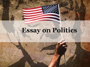 Essay on Politics