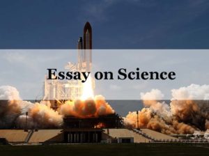 Essay on Science