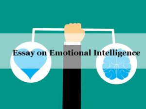Essay on Emotional Intelligence