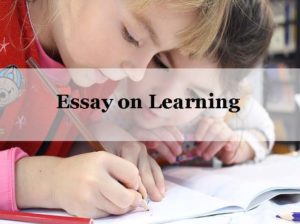 Essay on Learning
